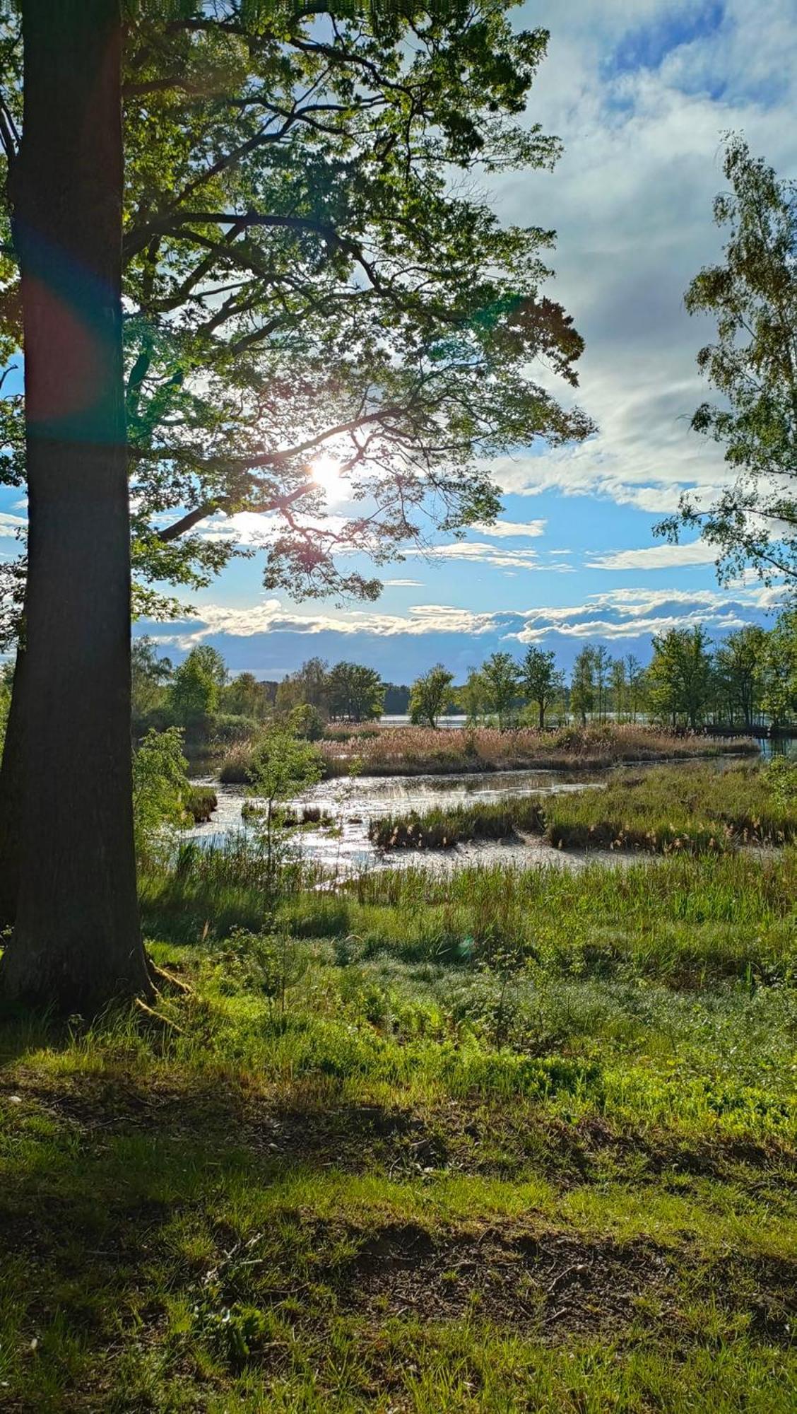 Rekreacni Chata Val Veselí nad Lužnicí Dış mekan fotoğraf
